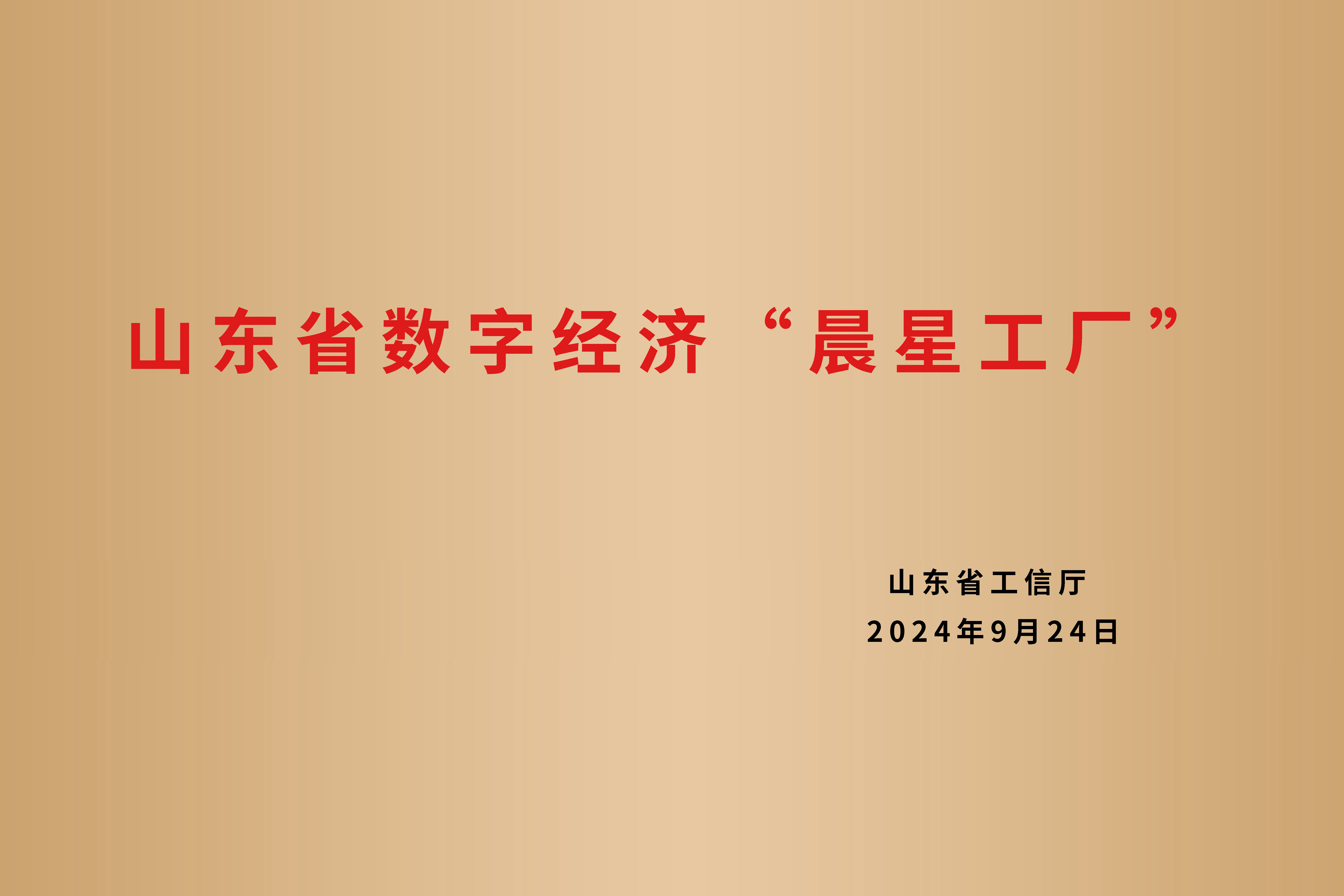 山东省数字经济“晨星工厂”(图1)
